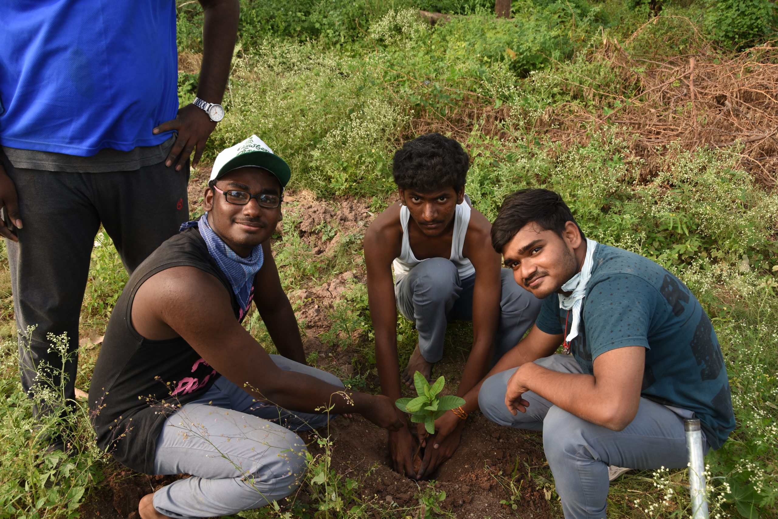 One day Camp on “Tree Plantation”