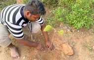 Sapling Plantation to celebrate the National Pollution Control Day